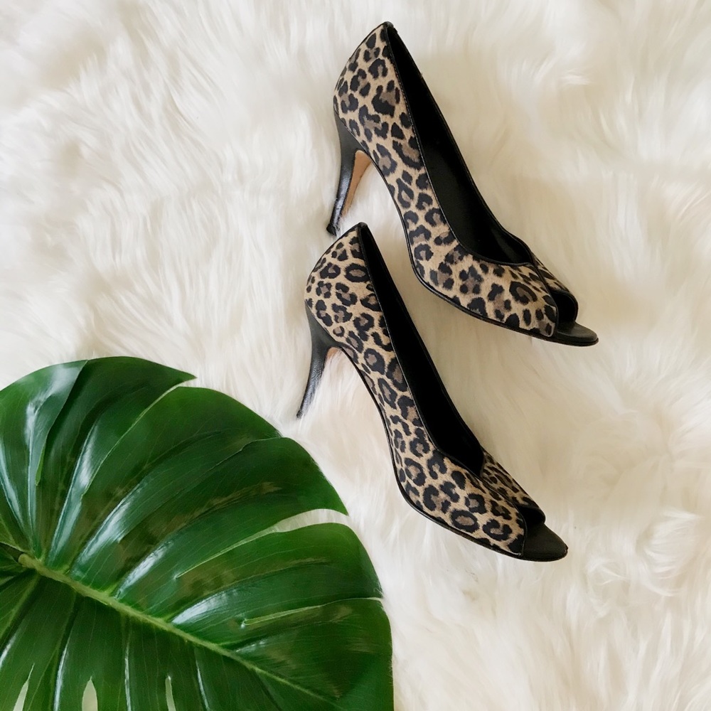 Van Eli / Heels